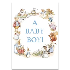 A Baby Boy Greetings Card by Beatrix Potter for Hype Card