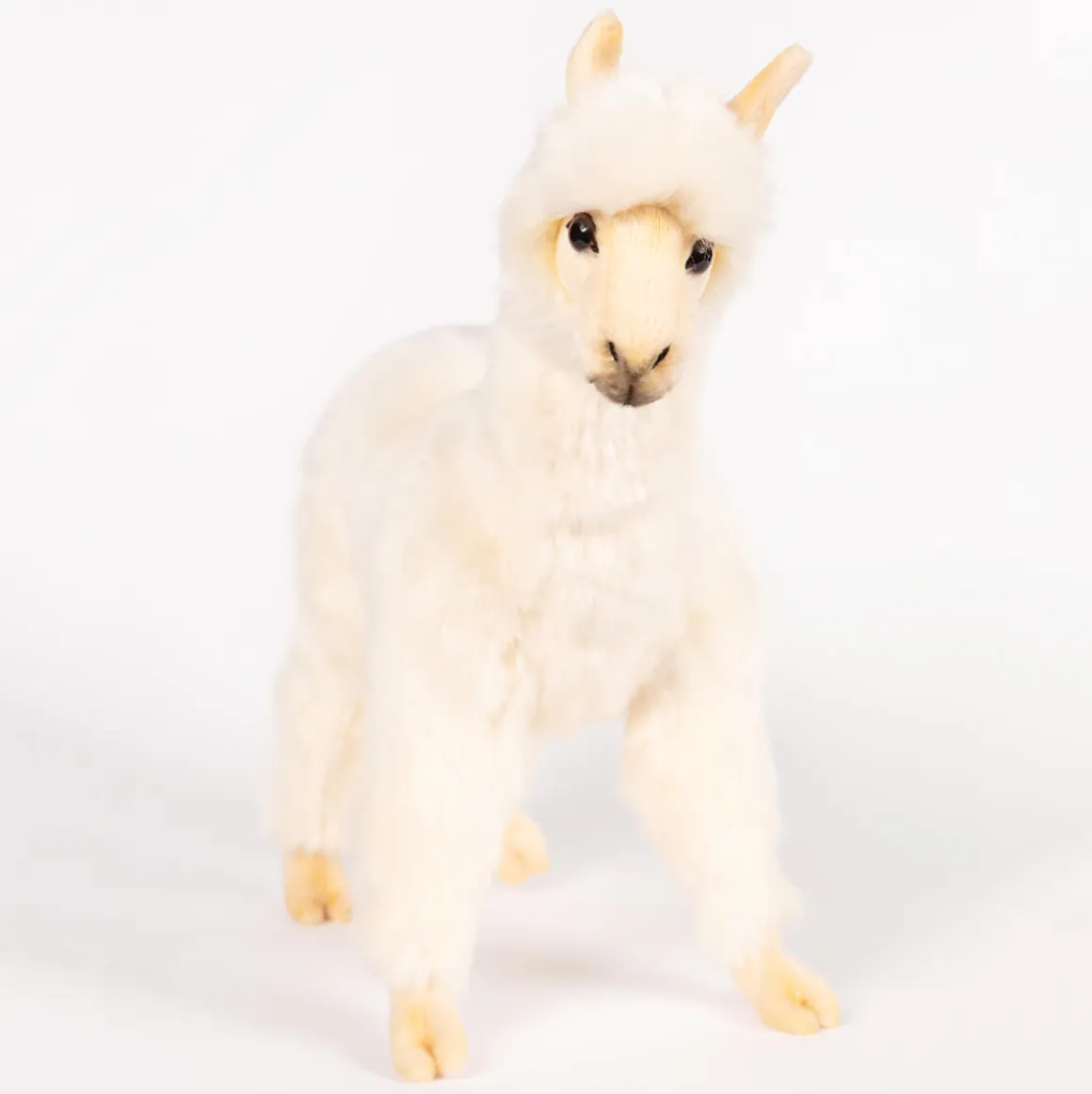 Alpaca (32cm) by Hansa