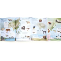 Amazing Animal Atlas by Nick Crumpton & Gaia Bordicchia (Signed Copy)