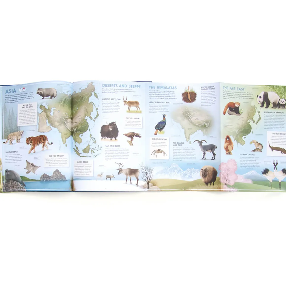 Amazing Animal Atlas by Nick Crumpton & Gaia Bordicchia (Signed Copy)