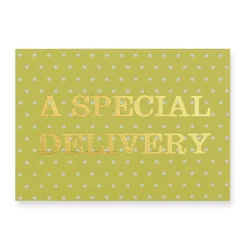 A Special Delivery Greetings Card by Nancy & Betty Studio