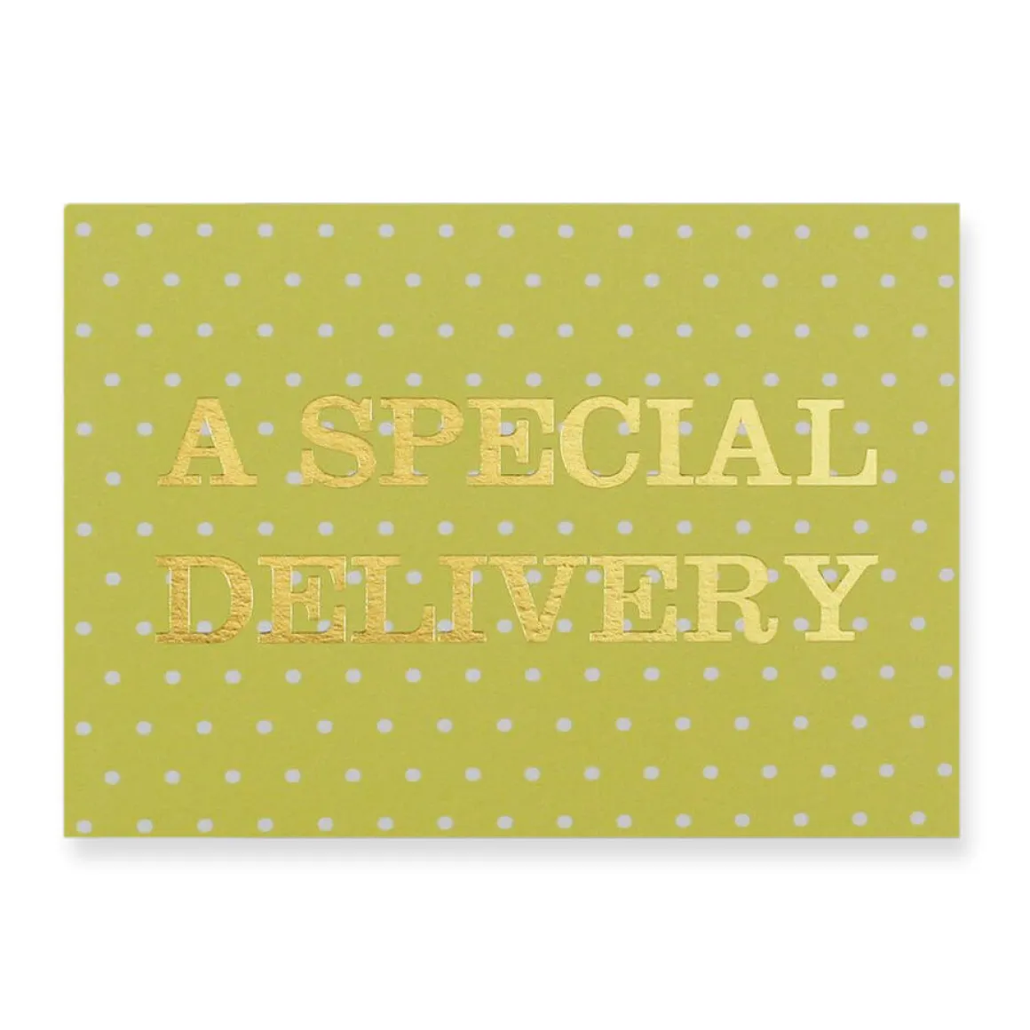 A Special Delivery Greetings Card by Nancy & Betty Studio
