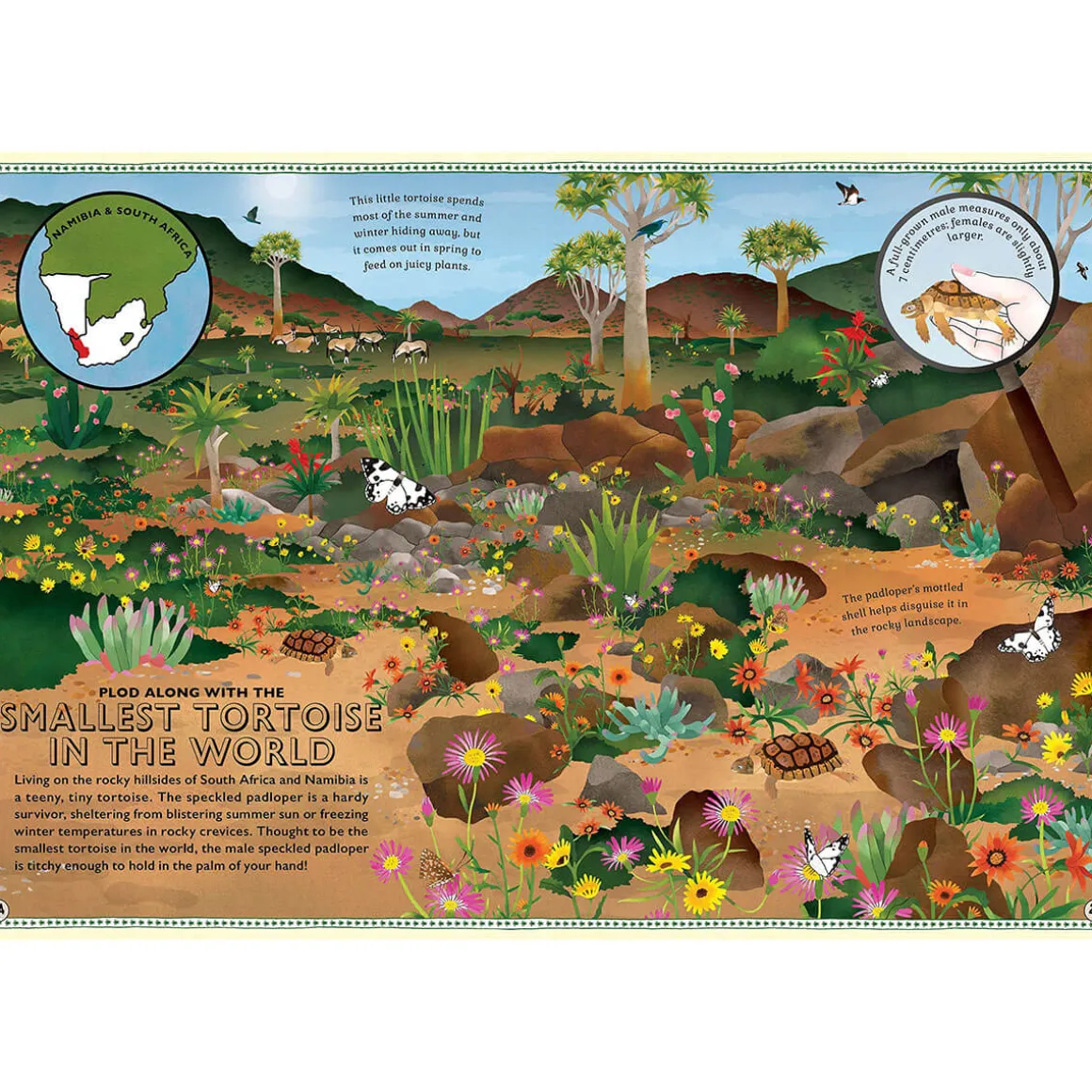 Atlas Of Miniature Adventures by Emily Hawkins & Lucy Letherland