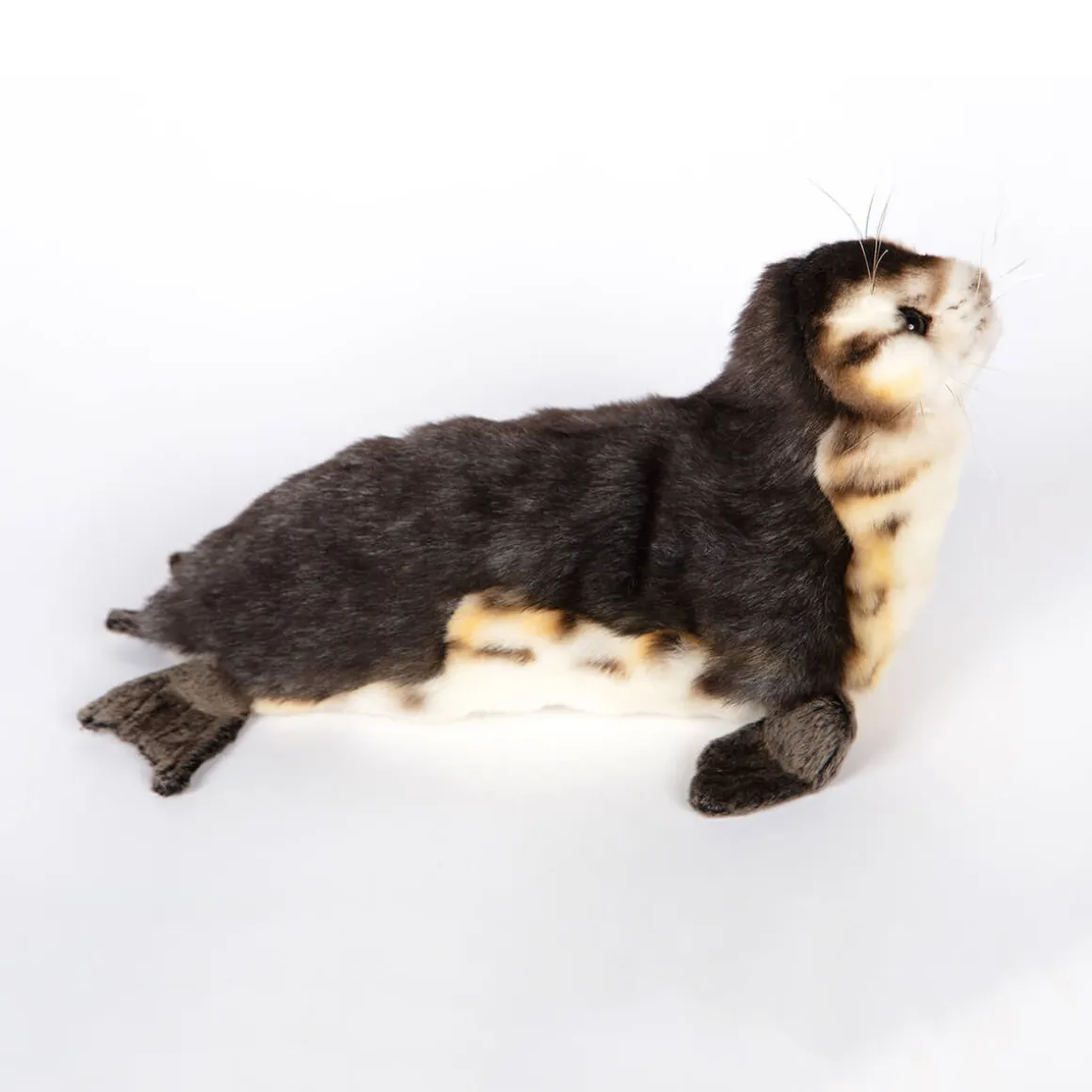 Baby Seal Monk (30cm) by Hansa