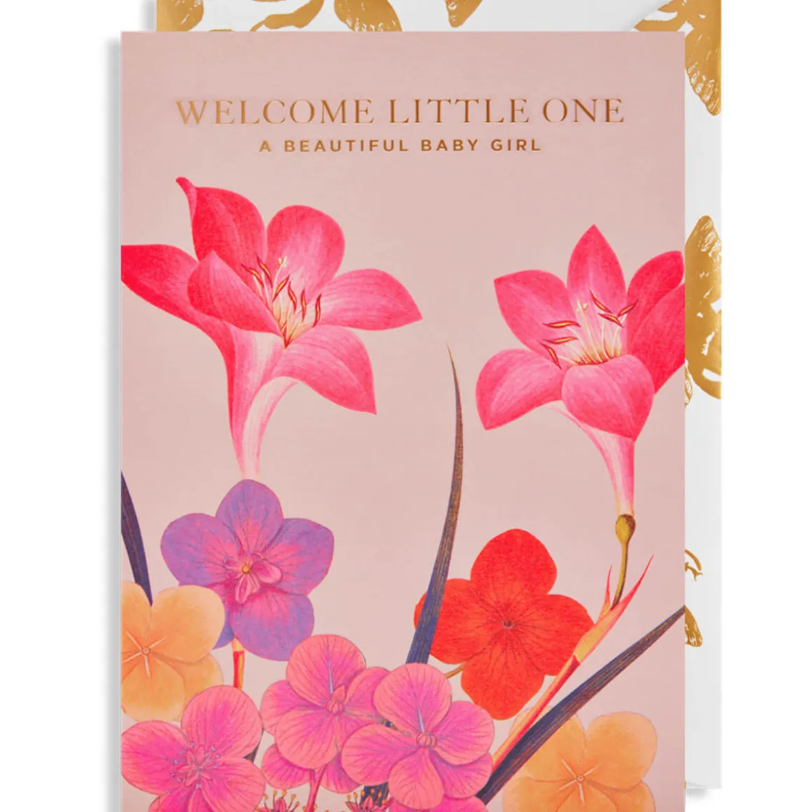 Beautiful Baby Girl Greetings Card by Kew Gardens for Lagom Design