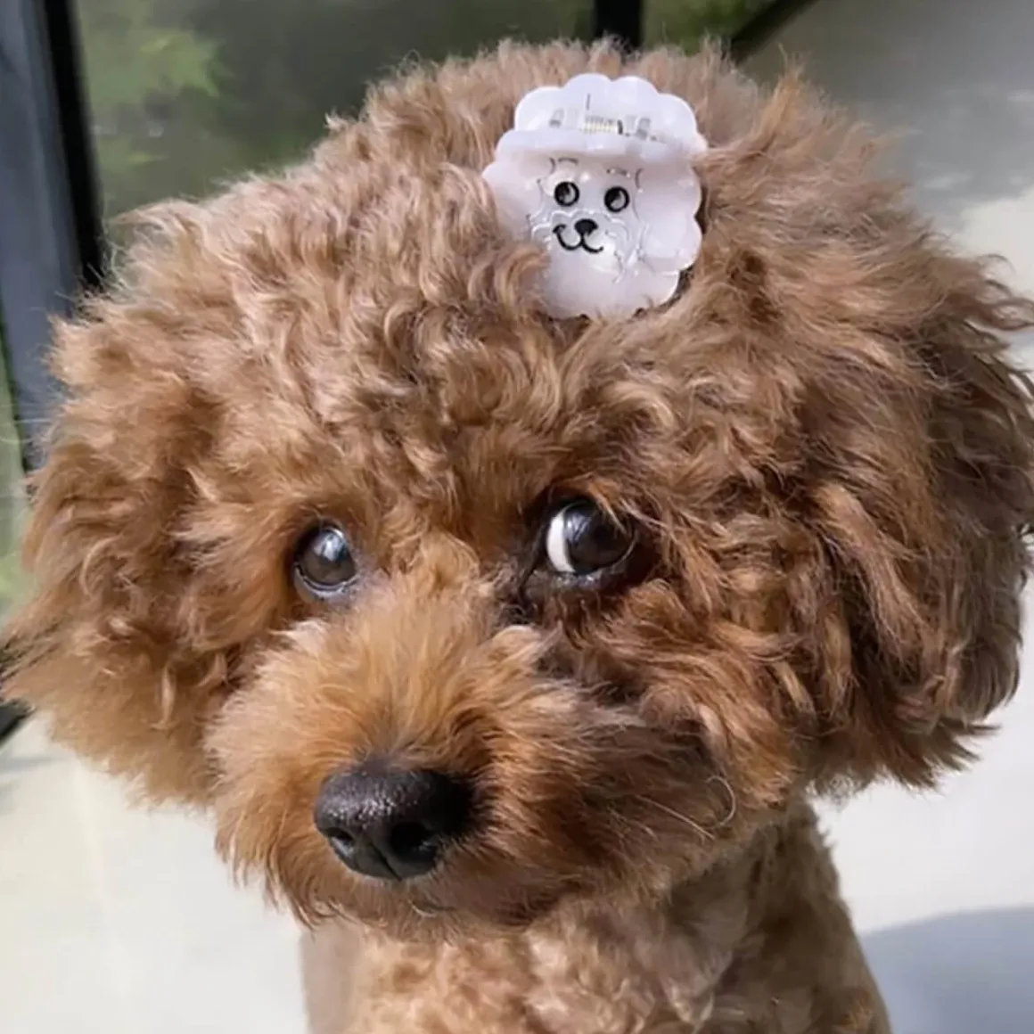 Bichon Mini Hair Claw by Coucou Suzette