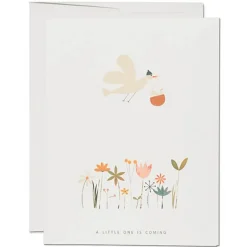 Birdie in Basket Baby Greetings Card by Red Cap Cards