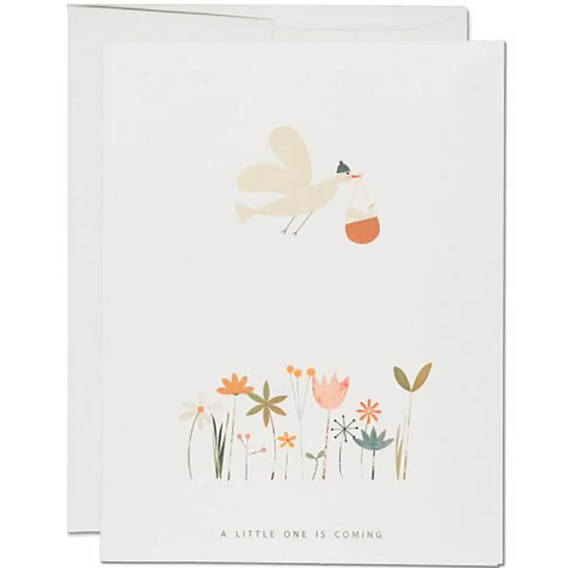 Birdie in Basket Baby Greetings Card by Red Cap Cards