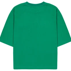 Bird Raglan T Shirt in Green by Jelly Mallow