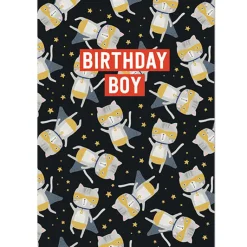 Birthday Boy Greetings Card by Mifkins