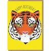 Birthday Tiger Greetings Card by Bex Parkin for Earlybird Designs