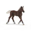 Black Forest Foal by Schleich