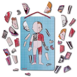Bodymagnet Magnetic Educational Game (12 Languages) by Janod