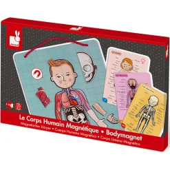 Bodymagnet Magnetic Educational Game (12 Languages) by Janod