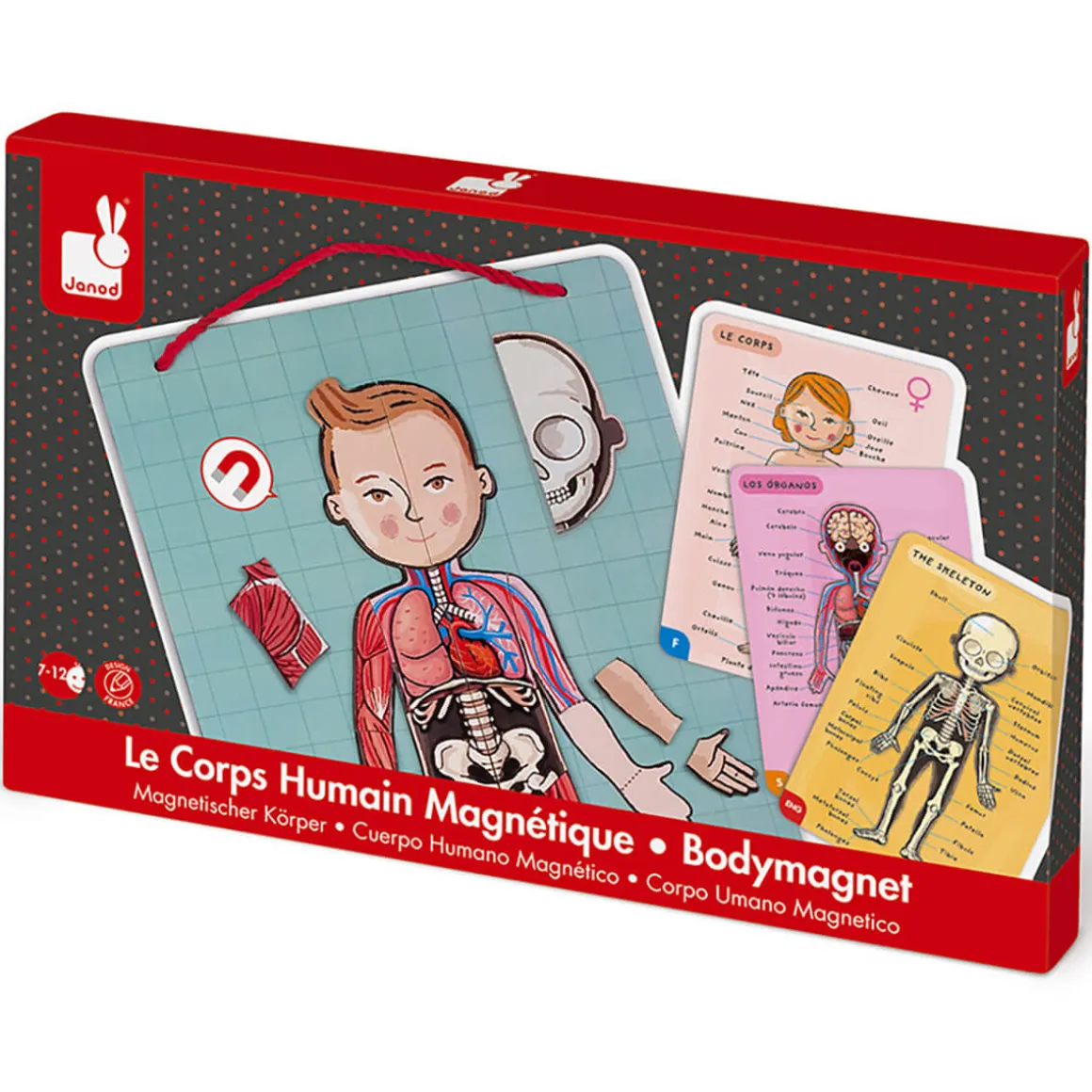 Bodymagnet Magnetic Educational Game (12 Languages) by Janod