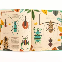 Bonkers About Beetles by Owen Davey