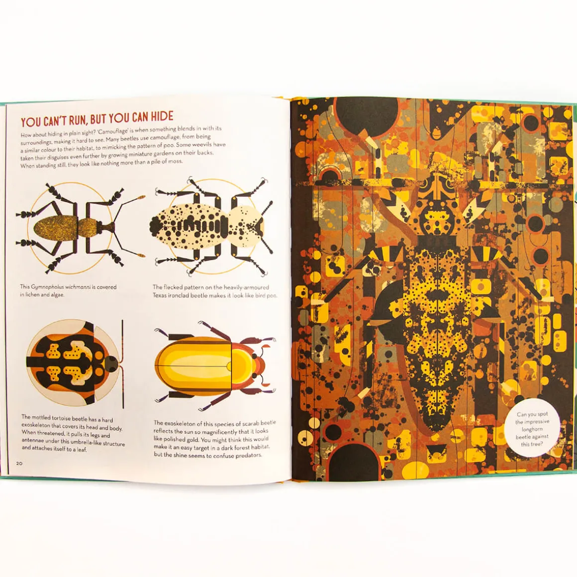 Bonkers About Beetles by Owen Davey