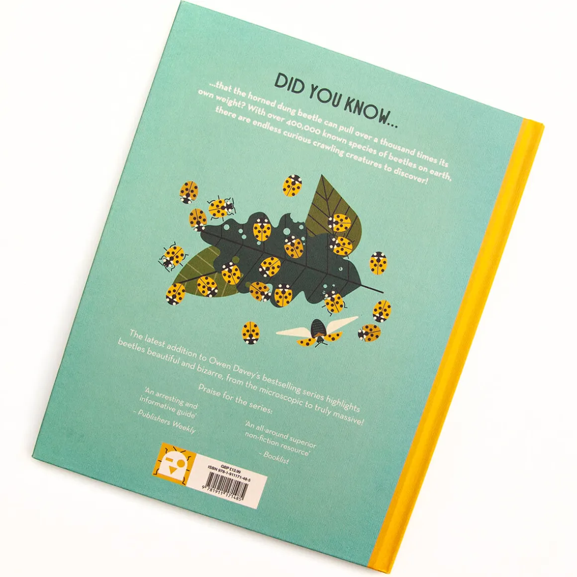 Bonkers About Beetles by Owen Davey