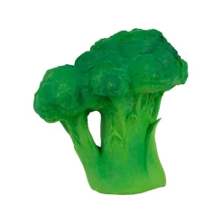 Brucy The Broccoli by Oli & Carol