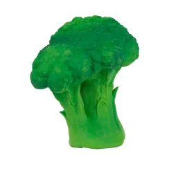 Brucy The Broccoli by Oli & Carol