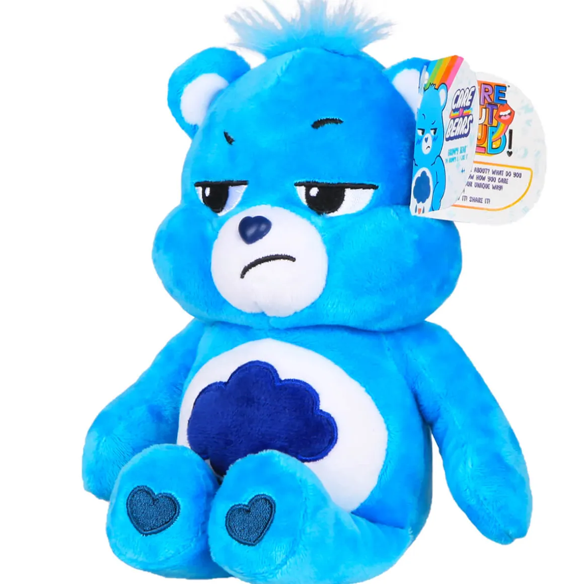 Care Bears Grumpy Bear Small (9") by Hasbro