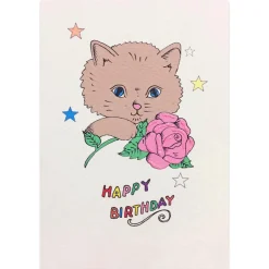 Cat Birthday Greetings Card by Rosie Wonders