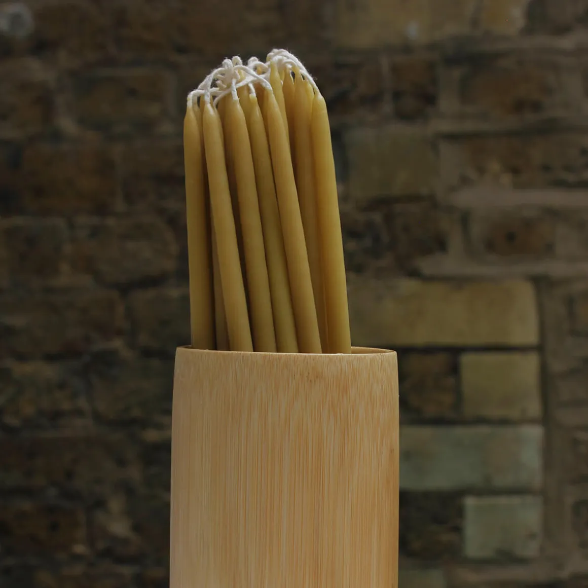 8 Celebration Extra Long Birthday Candles in Natural by Wax Atelier