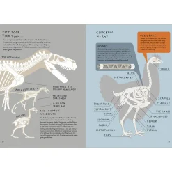 Chickenology: The Ultimate Encyclopedia by Barbara Sandri, Camilla Pintonato & Francesco Giubbilini