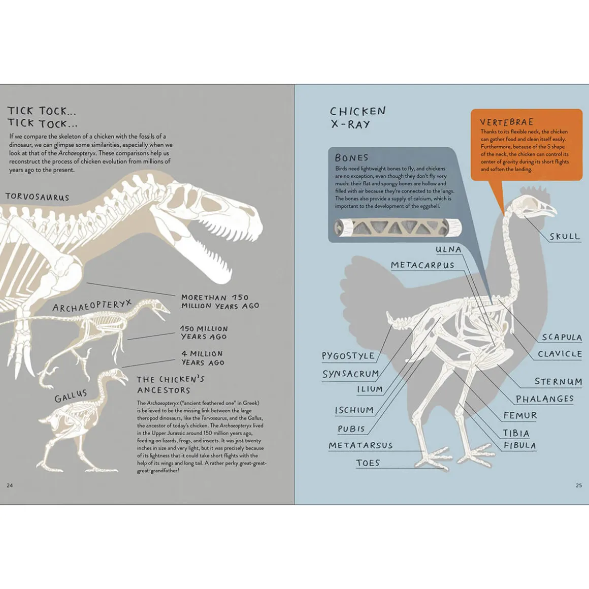 Chickenology: The Ultimate Encyclopedia by Barbara Sandri, Camilla Pintonato & Francesco Giubbilini