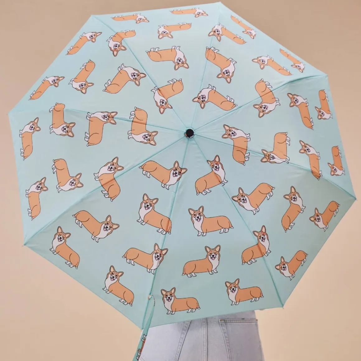 Corgi Umbrella in Turquoise by Coucou Suzette X Original Duckhead