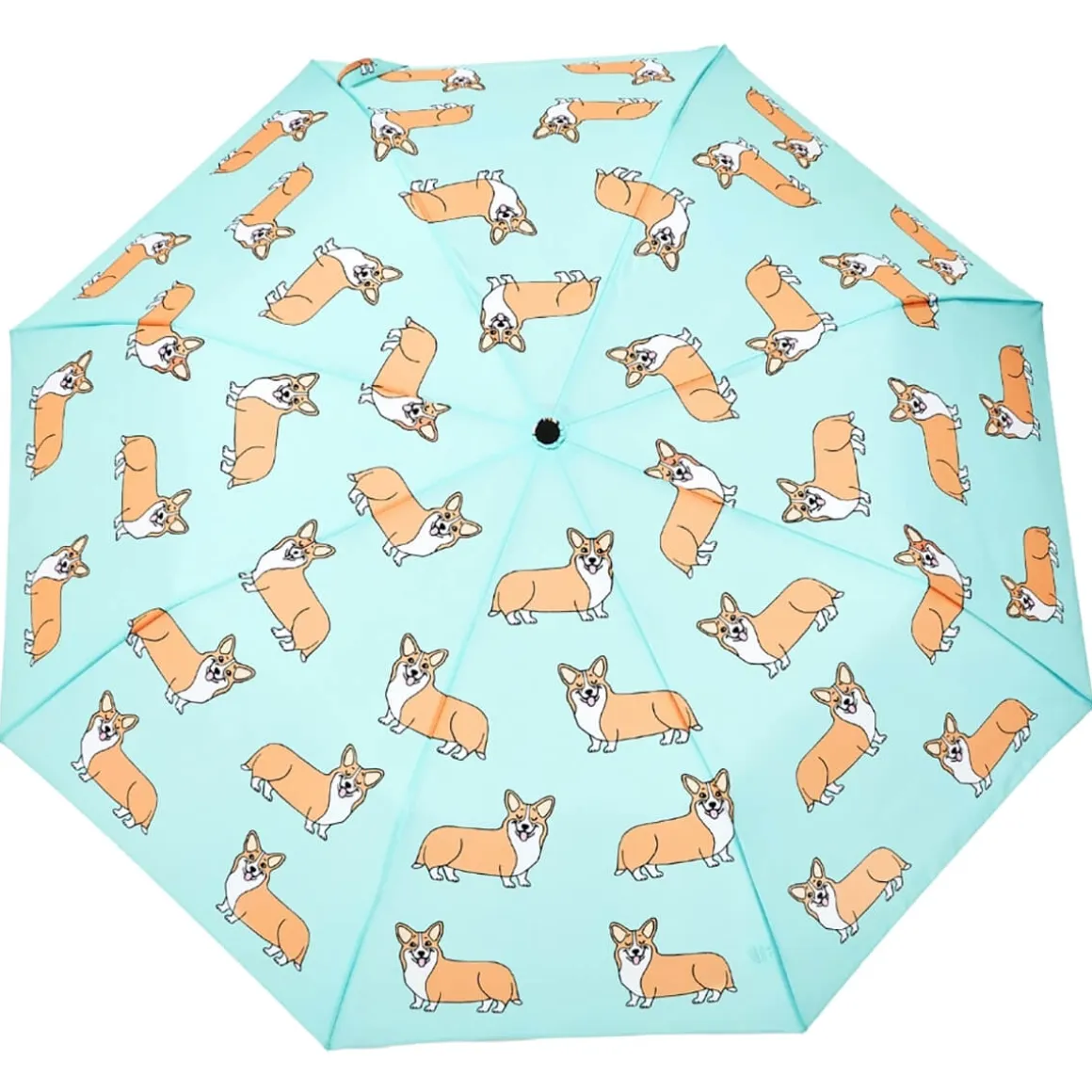 Corgi Umbrella in Turquoise by Coucou Suzette X Original Duckhead