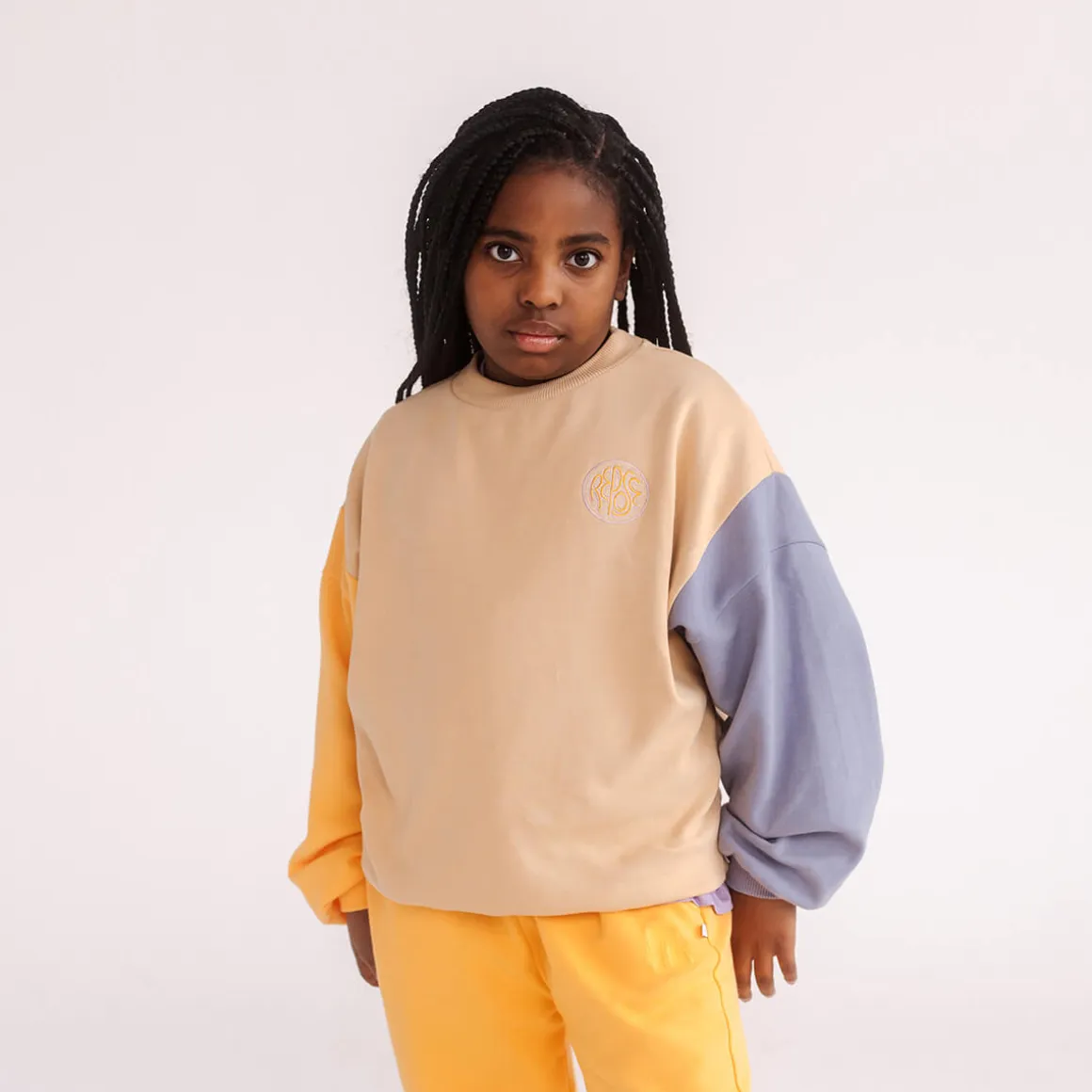 Crew Neck Sweater in Colour Block by Repose AMS