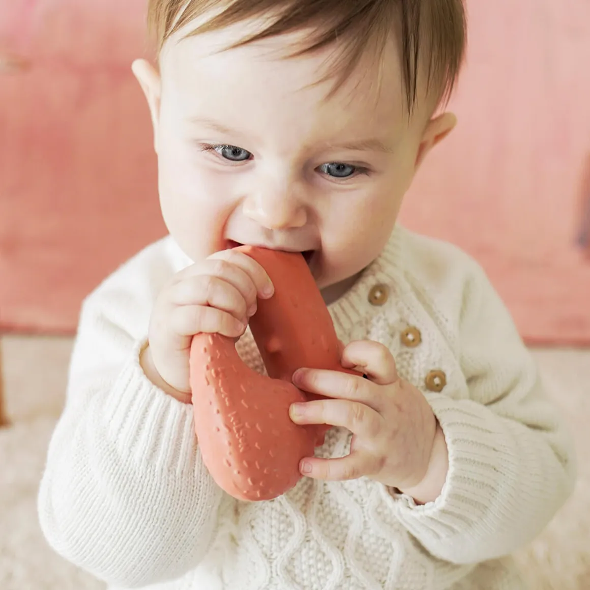 Cyril Squirrel Fox Teether by Oli & Carol x Donna Wilson