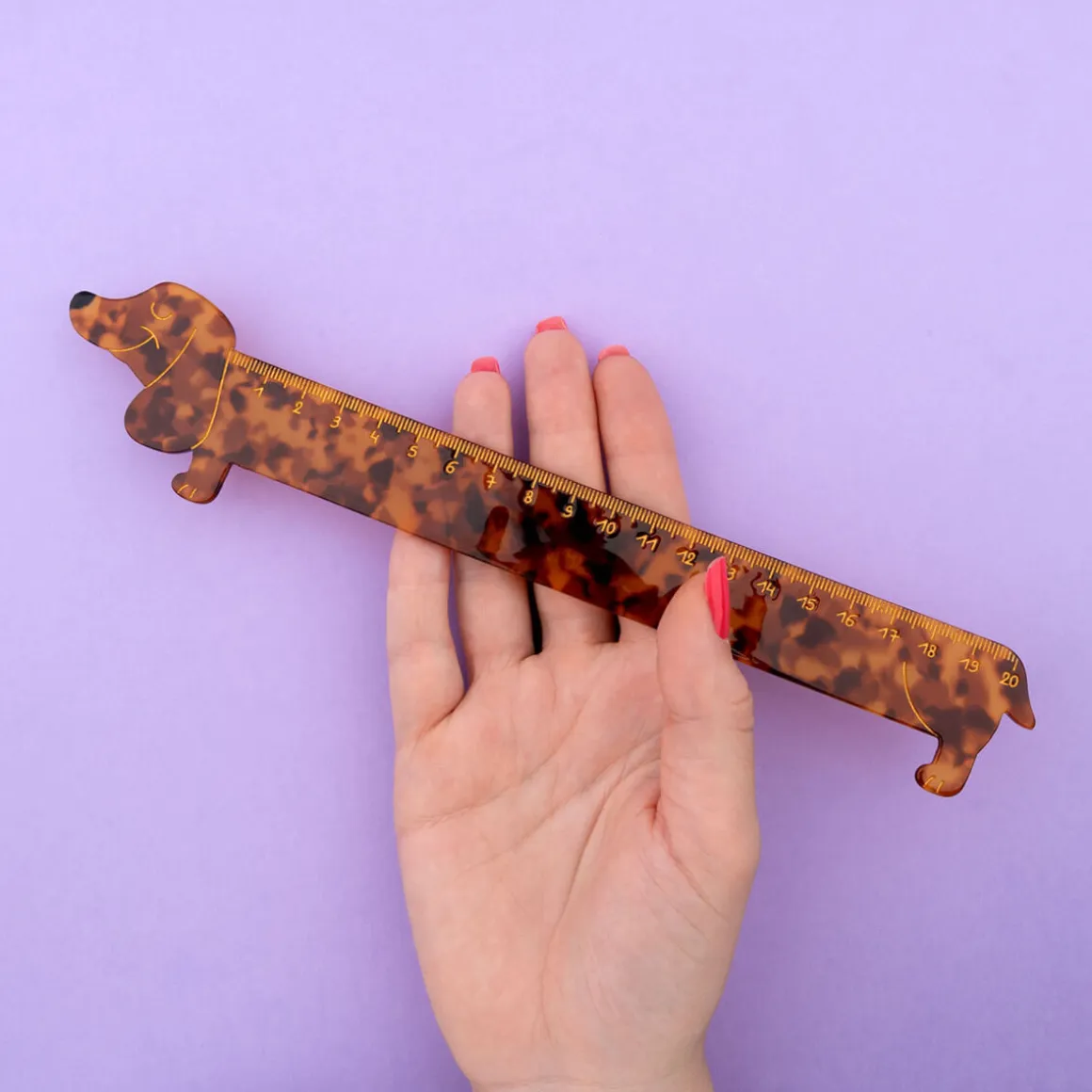 Dachshund Ruler by Coucou Suzette