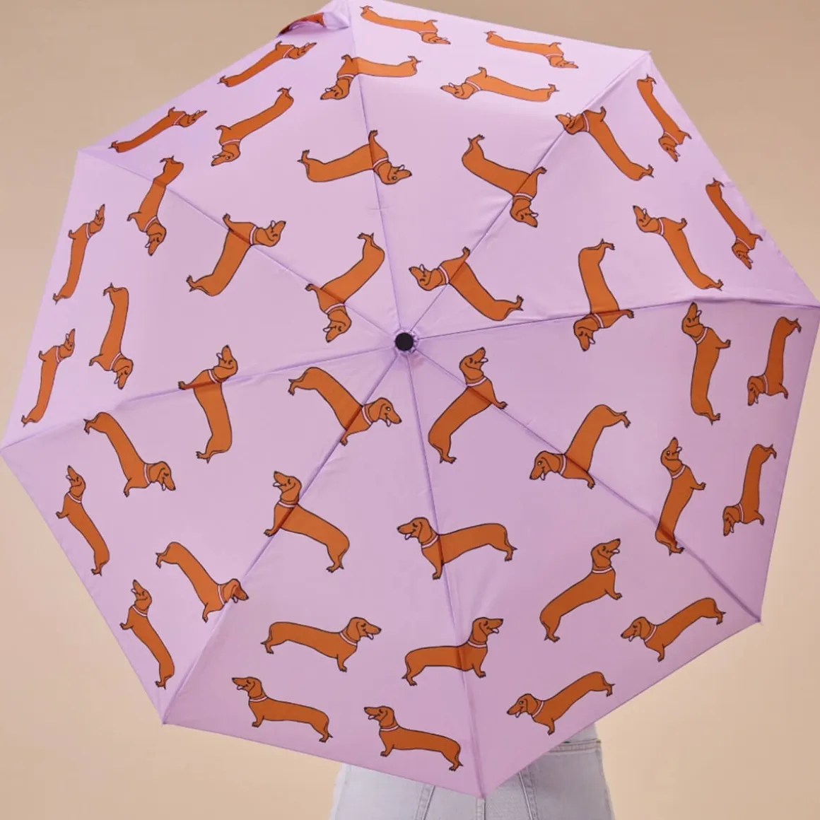 Dachshund Umbrella in Lilac by Coucou Suzette X Original Duckhead