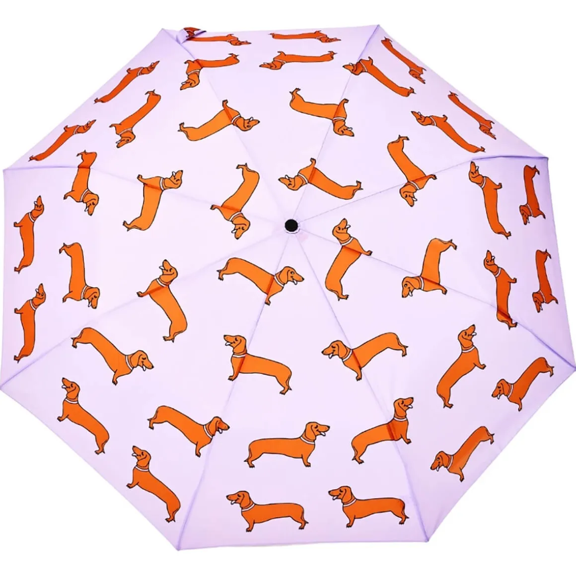 Dachshund Umbrella in Lilac by Coucou Suzette X Original Duckhead