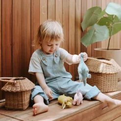 Dinosaurs Holdie Folk Set by Olli Ella
