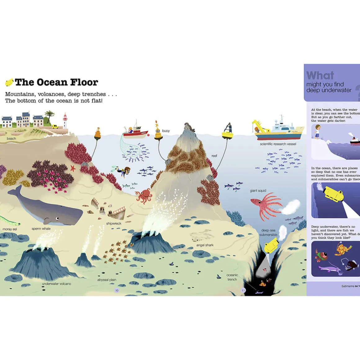 Do you Know? Oceans and Marine Life by Stephanie Babin