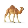 Dromedary by Schleich