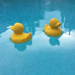 Elvis The Duck In Yellow by Oli & Carol