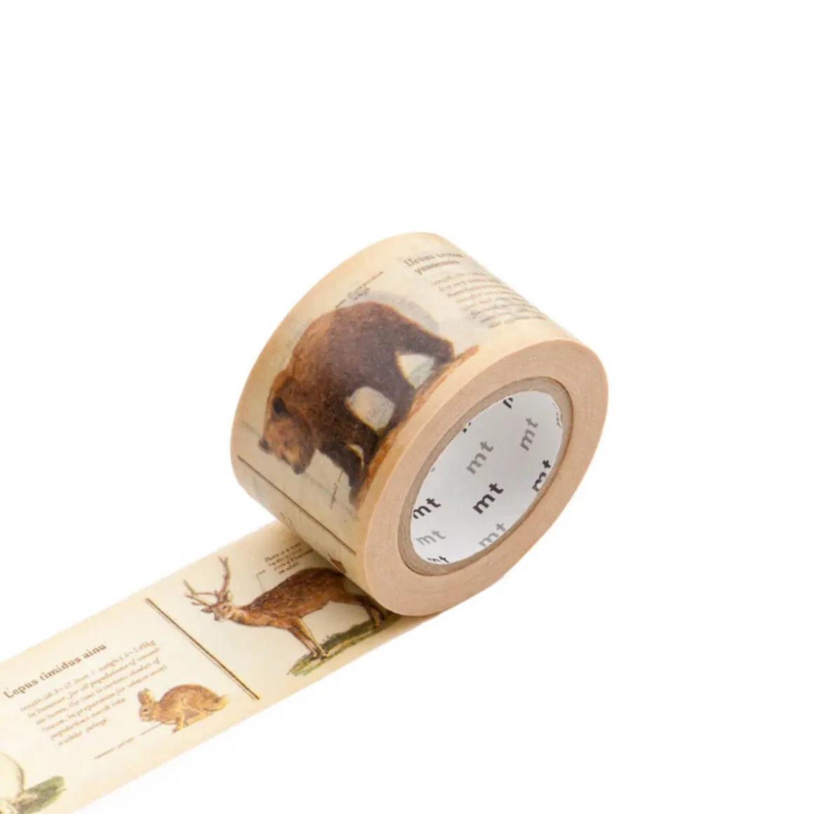 Encyclopedia Animal 30mm Ex Collection Washi Tape by MT Japan