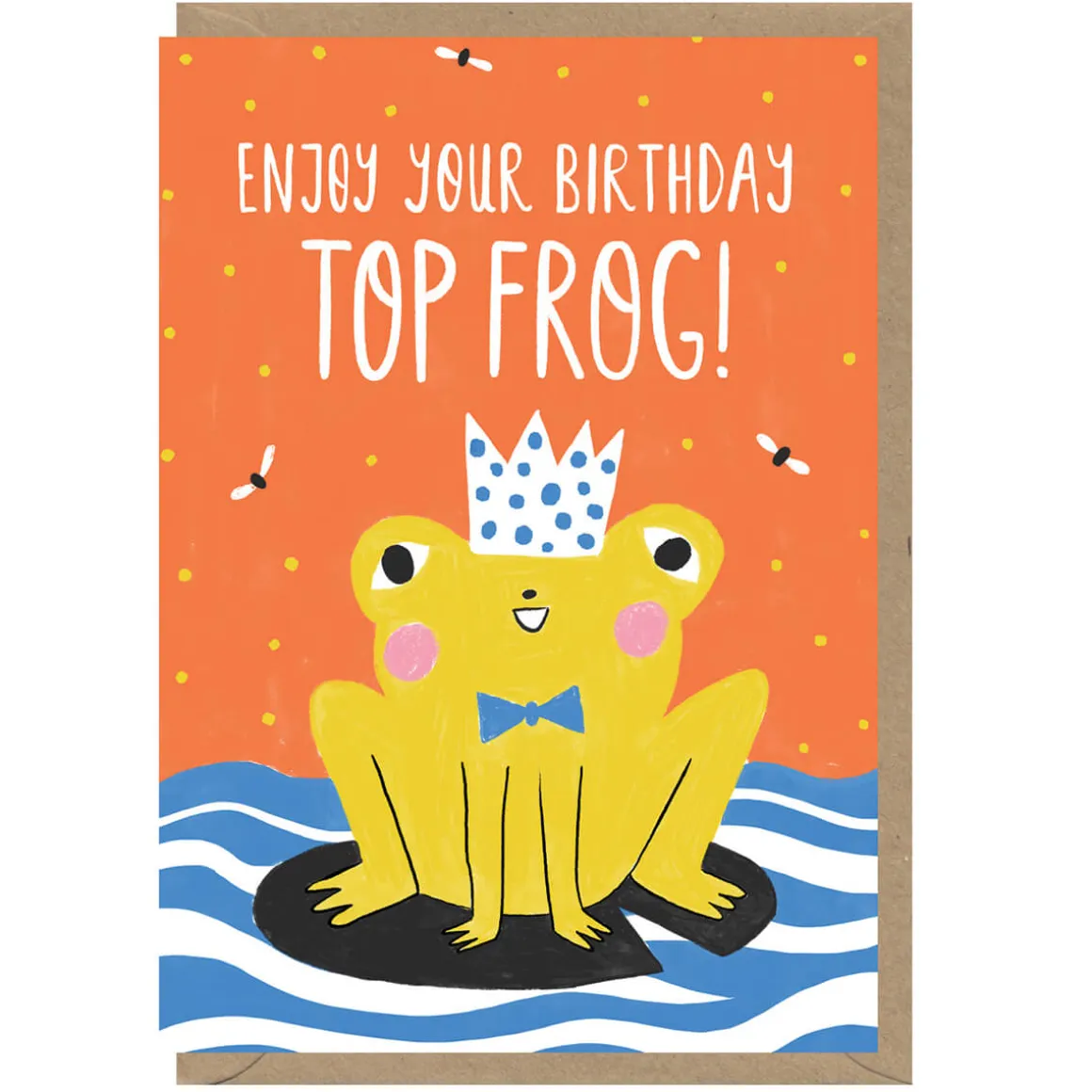 Enjoy Your Birthday Top Frog Greetings Card by Amy Hodkin for Earlybird Designs