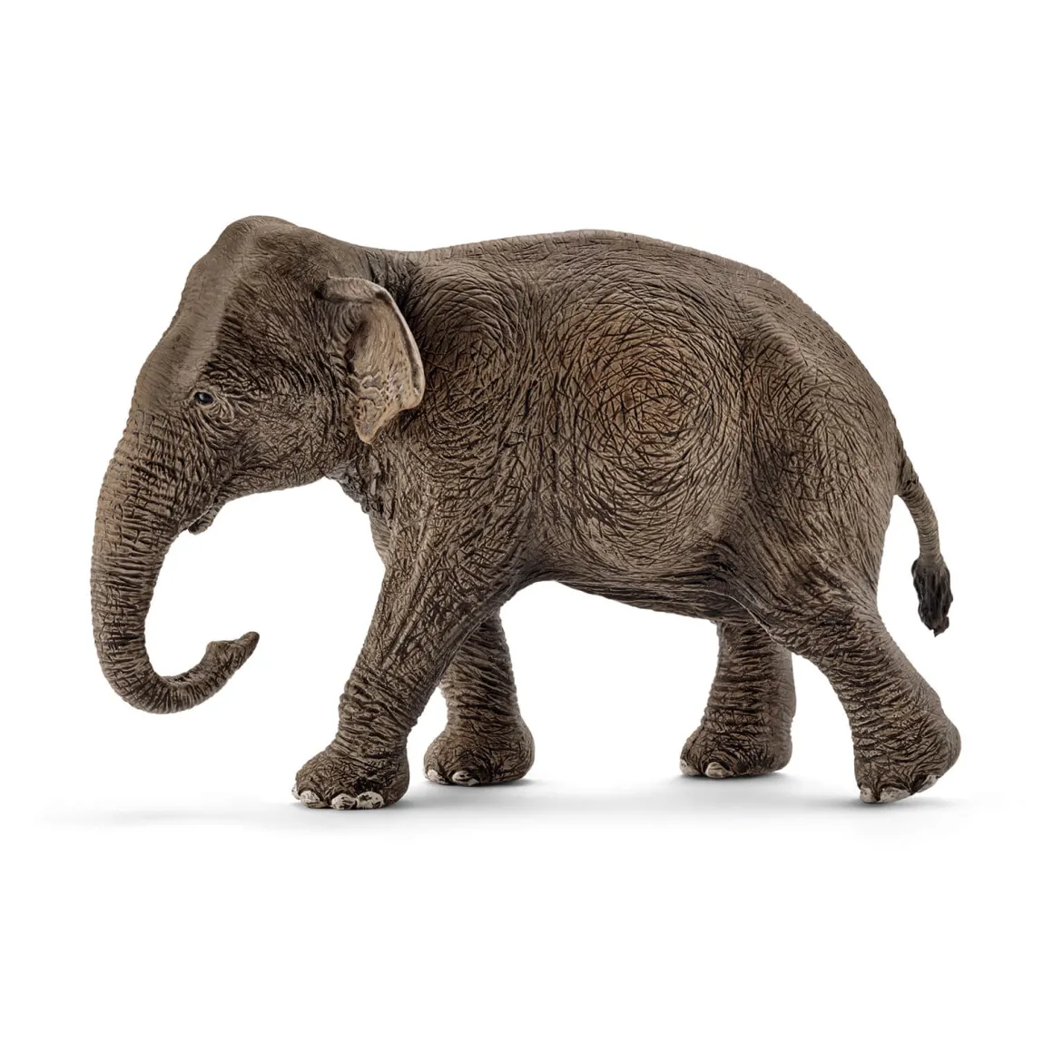 Female Asian Elephant by Schleich