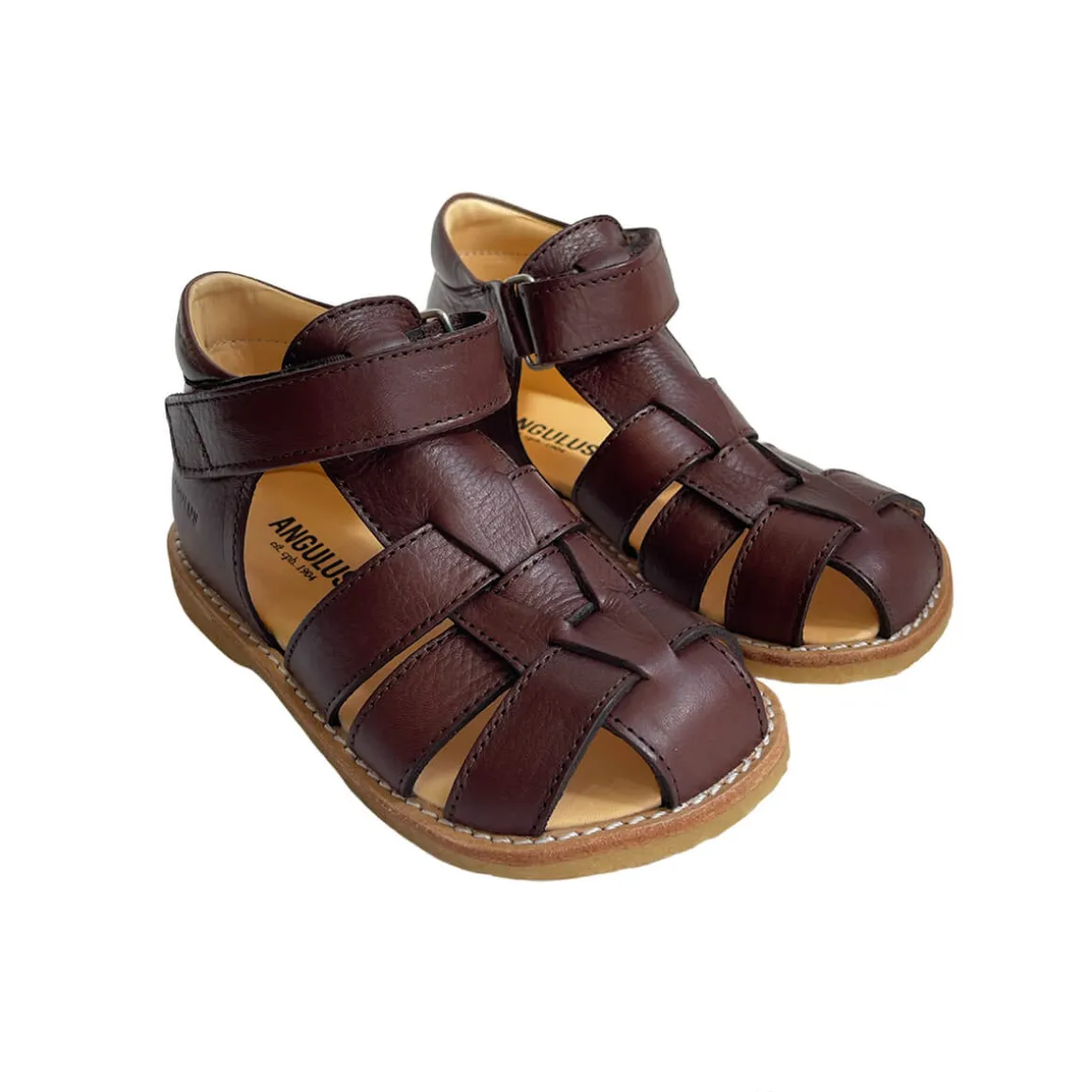 Fisherman Starter Sandals in Dark Brown (Wide Fit) by Angulus