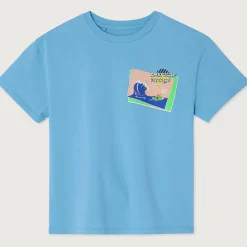 Fizvalley Kid's T Shirt in Vintage Azure Blue by American Vintage - Last One In Stock - 13 Years