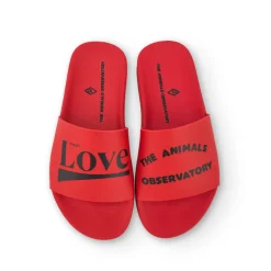 Flip-Floops in Red by The Animals Observatory