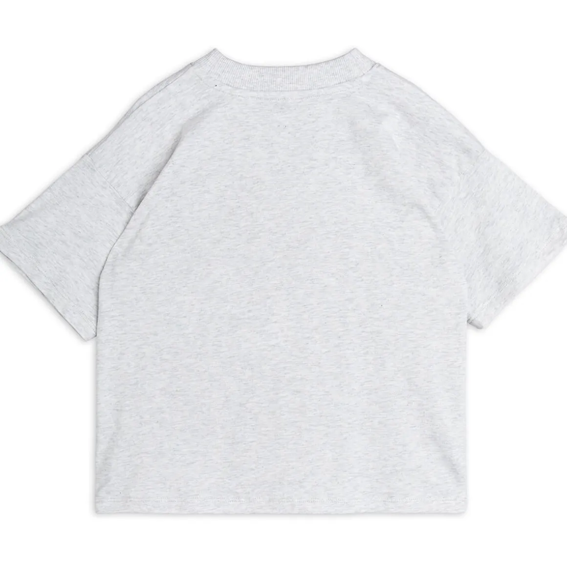 Flundra T Shirt in Grey Melange by Mini Rodini