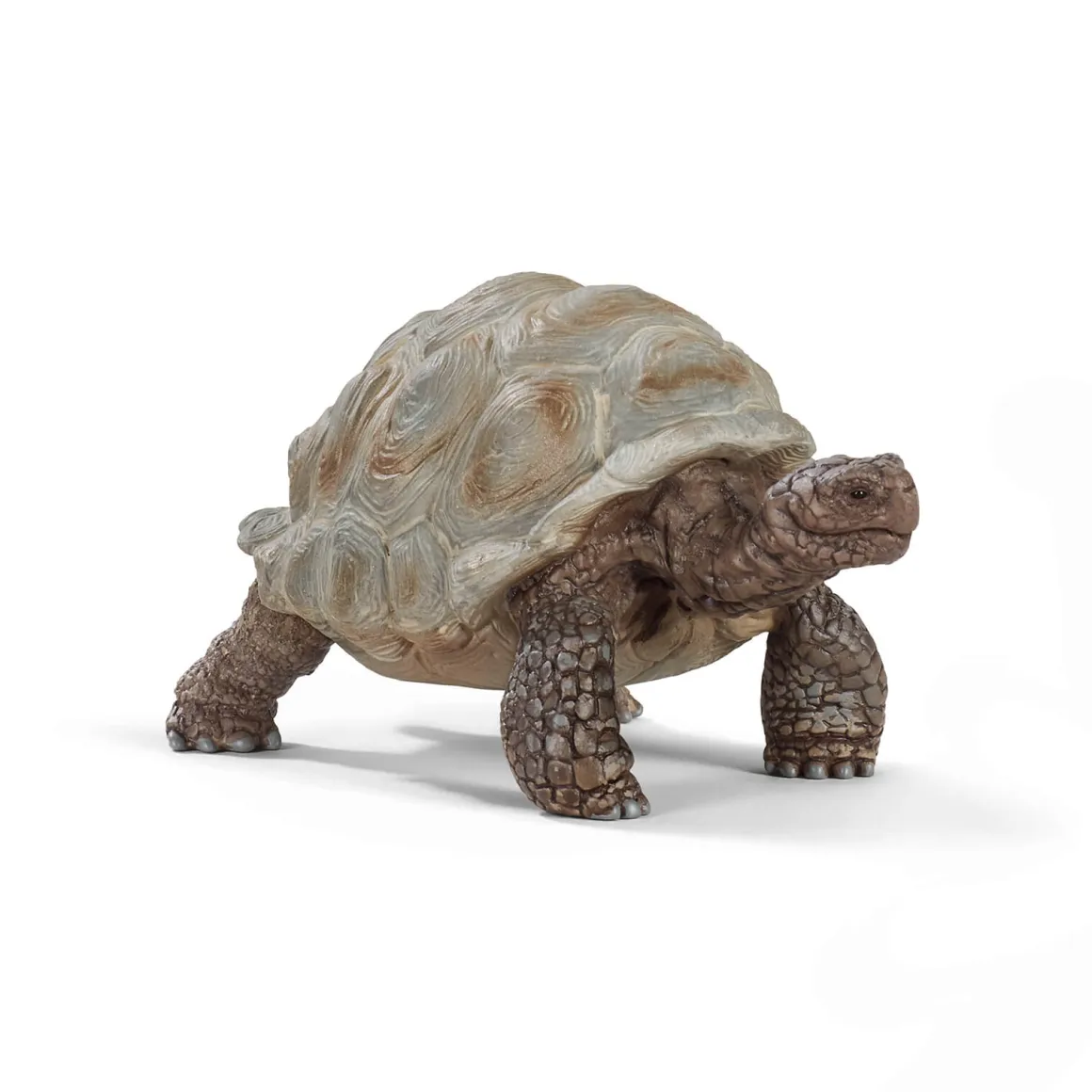 Giant Tortoise by Schleich