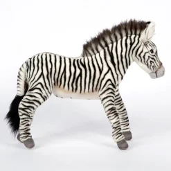 Grevy's Zebra (35cm) by Hansa
