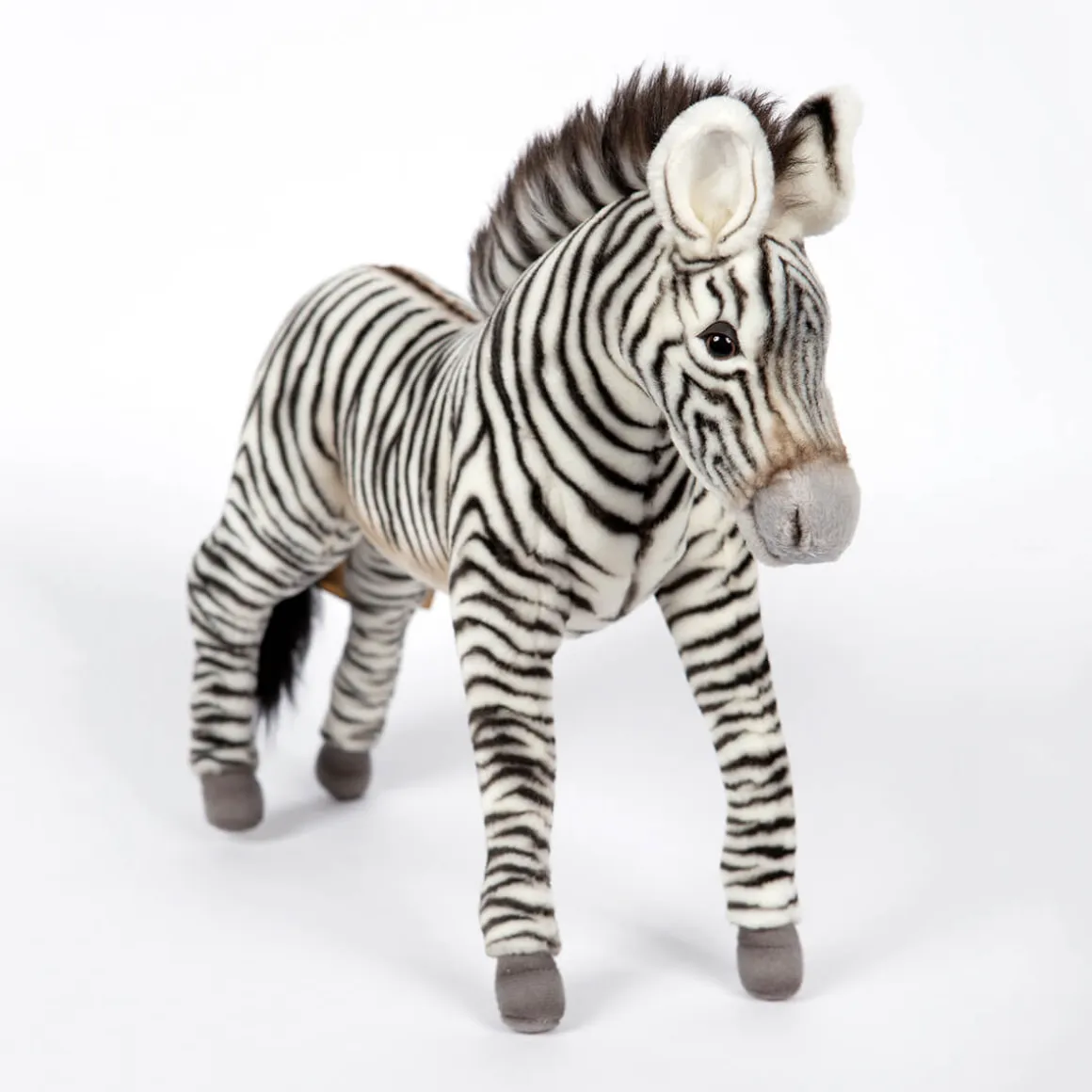 Grevy's Zebra (35cm) by Hansa